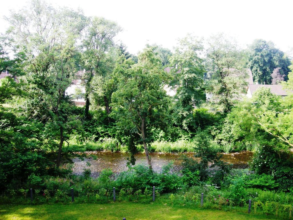 Aux Berges De La Thur Bed & Breakfast